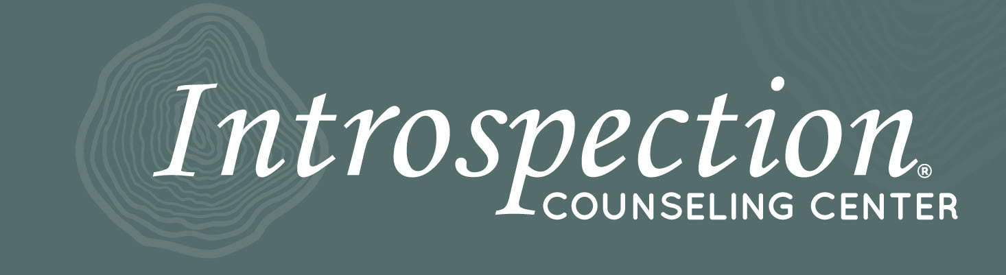 Introspection LOGO WEB